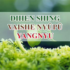 Dihen shing vaishe nyüpü yangnyu (live to Die/ No live for Ever)