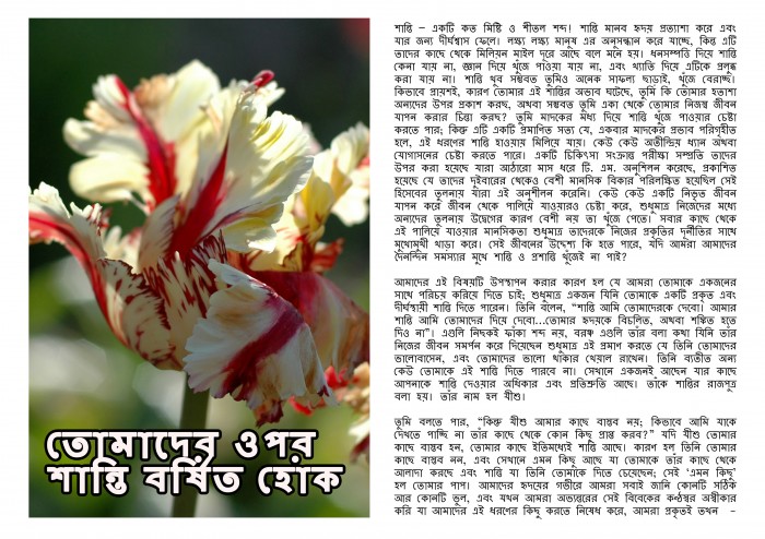 essay on peace day in bengali
