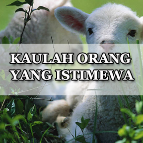 KAULAH ORANG YANG ISTIMEWA(Indonesian-someone special)