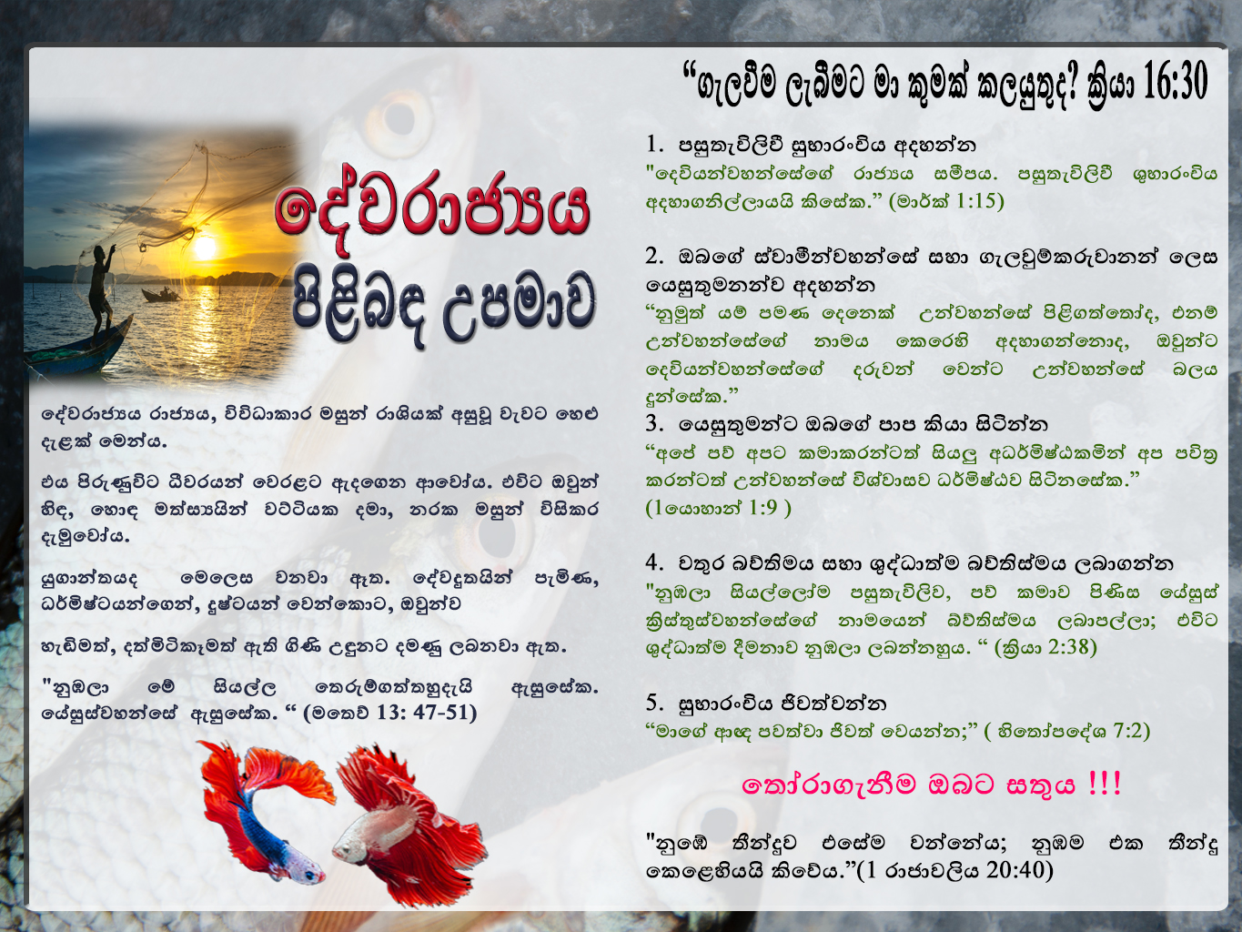 Parable of the Kingdom Sinhala 1