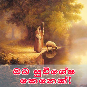 ඔබ සුවිශේෂ කෙනෙක්! (You are someone special) Sinhala
