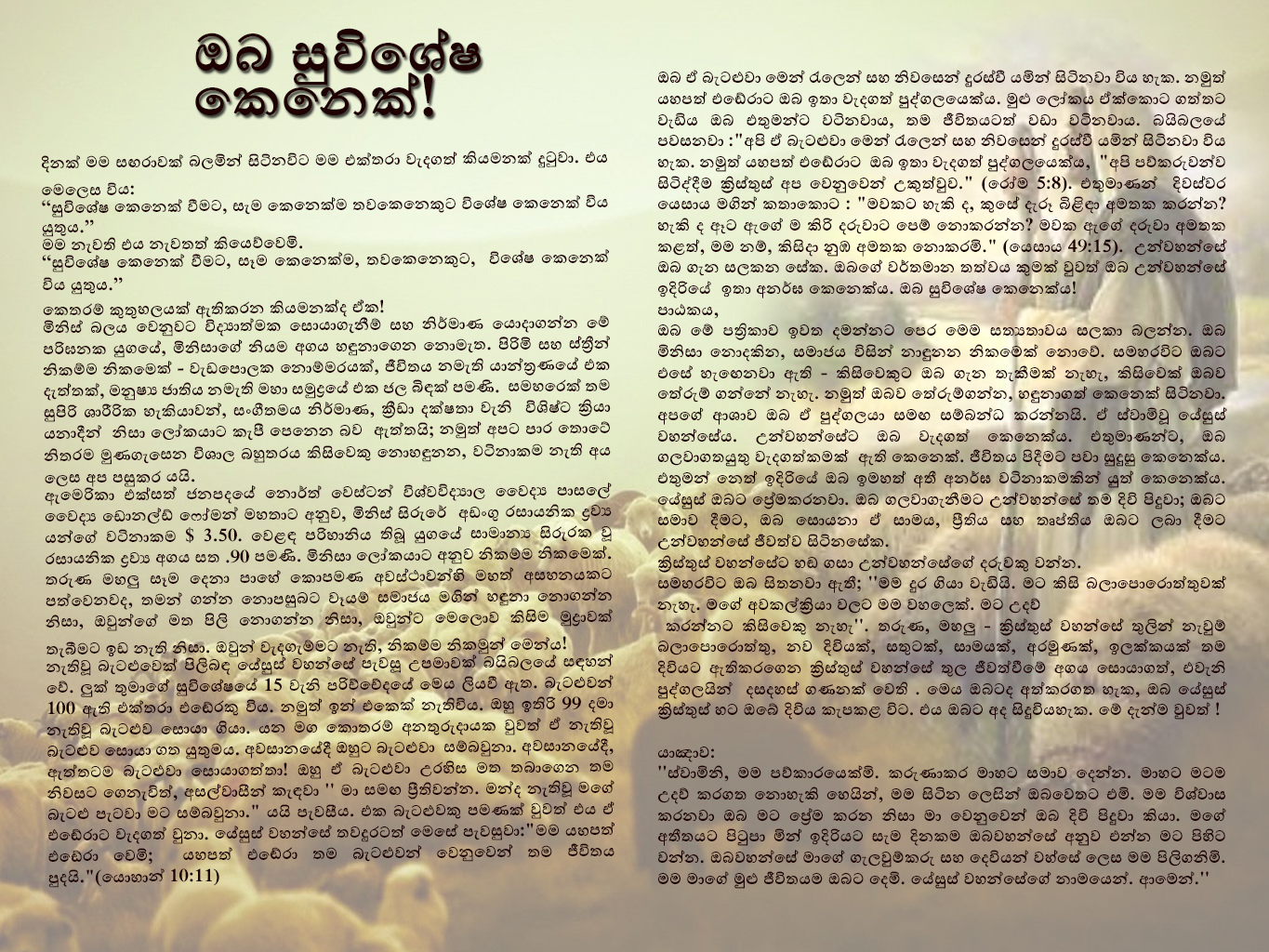 You are someone special Sinhala 2